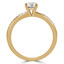 Round Diamond Solitaire with Accents Engagement Ring in Yellow Gold (MVSS0021-Y)