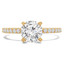 Round Diamond Solitaire with Accents Engagement Ring in Yellow Gold (MVSS0047-Y)