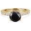 Round Black Diamond Solitaire with Accents Engagement Ring in Yellow Gold (MVSB0007-Y)