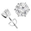 Solitaire Round Diamond 6-Prong Stud Earrings in 14K White Gold with Screwback (MVSE0002-W)