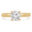 Round Lab Created Diamond Solitaire with Accents Engagement Ring in Yellow Gold (MVSLG0015-Y)