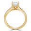 Round Lab Created Diamond Solitaire with Accents Engagement Ring in Yellow Gold (MVSLG0017-Y)
