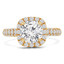 Round Lab Created Diamond Cushion Halo Engagement Ring in Yellow Gold (MVSLG0021-Y)