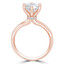Round Lab Created Diamond Hidden Halo Solitaire with Accents Engagement Ring in Rose Gold (MVSLG0048-R)