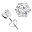 1 1/2 CTW Round Diamond 6-Prong Stud Earrings in 14K White Gold (MD240021)
