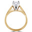 Round Diamond Cathedral Solitaire Engagement Ring in Yellow Gold (MVS0003-Y)