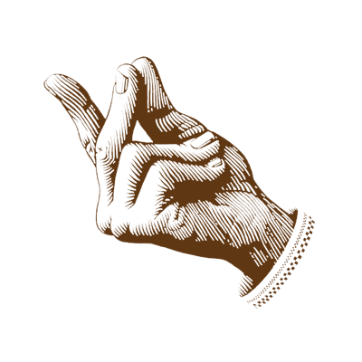 hand illustration