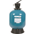 Tagelus Pool Filter with Top Mount Valve