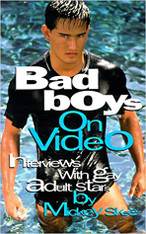 Bad Boys on Video: Interviews with Gay Adult Stars Volume One