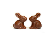 Chocolate Bunnies