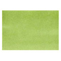 Prismacolor Art Marker Brush/Fine Green Tea PB 197  Pen Mountain