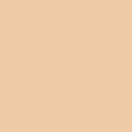 Prismacolor Art Marker Chisel/Fine Deco Orange Light PM 230  Pen Mountain