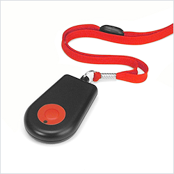 TIR4 Infrared Pendant TIR4 Infrared Pendant