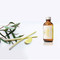 Eucalyptus & Lemongrass Inner Strength Aromatherapy
