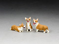 SP126 A Trio of Royal Corgis (Set of 3) by King and Country