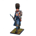 NAP0107 Guard Chasseur NCO in Greatcoat and Bearskin by First Legion (RETIRED)