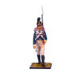 NAP0139 1st 'Prince Paul' Wurttemberg Line Infantry Private by First Legion (RETIRED)