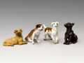 HK239 "A Small Pack of Dogs by King and Country