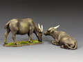 VN124 A Pair of Water Buffaloes by King and Country 