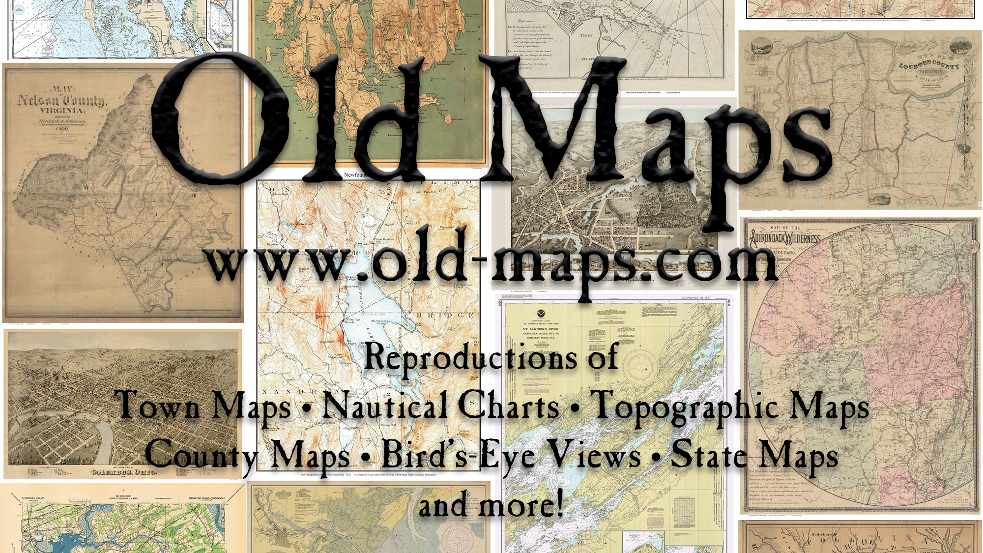 New York Plat Maps Book on CD 1874 Atlas Of Schuyler County 