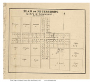 Petersburg - Mifflin, Ohio 1861 Old Town Map Custom Print - Ashland Co. (McDonnell)
