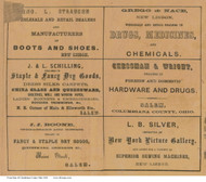 Advertisements - Columbiana Co., Ohio 1860 Old Town Map Custom Print - Columbiana Co.