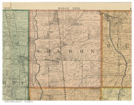 Sharon, Ohio 1895 Old Town Map Custom Print - Franklin Co.