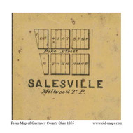 Salesville - Milwood, Ohio 1855 Old Town Map Custom Print - Guernsey Co.