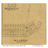 Millwood Village - Milwood, Ohio 1855 Old Town Map Custom Print - Guernsey Co.