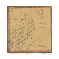 New Birmingham - Monroe, Ohio 1855 Old Town Map Custom Print - Guernsey Co.