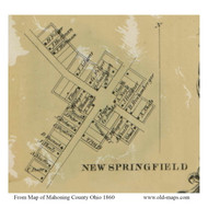 New Springfield - Mahoning Co., Ohio 1860 Old Town Map Custom Print - Mahoning Co.