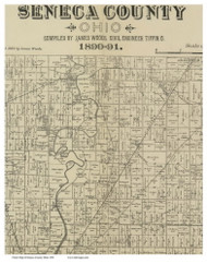 Pleasant, Ohio 1891 Old Town Map Custom Print - Seneca Co.