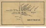 Montrose - Copley, Ohio 1856 Old Town Map Custom Print - Summit Co.