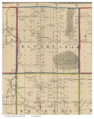 Bloomfield, Ohio 1856 Old Town Map Custom Print - Trumbull Co.