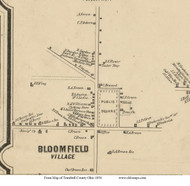 Bloomfield Village - Bloomfield , Ohio 1856 Old Town Map Custom Print - Trumbull Co.