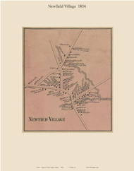 Newfield Village, Maine 1856 Old Town Map Custom Print - York Co.