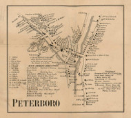 Peterboro Village, New Hampshire 1858 Old Town Map Custom Print - Hillsboro Co.