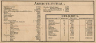 Agricultural & Religious Statistics, New Hampshire 1858 Hillsboro Co.