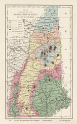 New Hampshire Tree Distribution Map - 1877 Old Map Reprint - Comstock & Cline State Atlas of NH