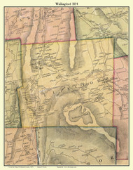Wallingford, Vermont 1854 Old Town Map Custom Print - Rutland Co.