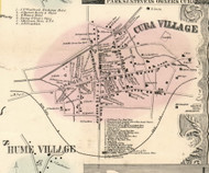 Cuba Village, New York 1856 Old Town Map Custom Print - Allegany Co.