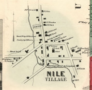 Nile Village, New York 1856 Old Town Map Custom Print - Allegany Co.