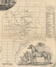 Mayville Village, New York 1854 Old Town Map Custom Print - Chautauque Co.