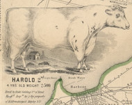 Harold the Cow, New York 1854 Old Town Map Custom Print - Chautauque Co.