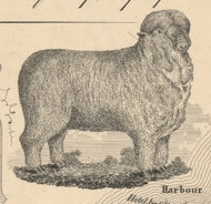 Sheep, New York 1854 Old Town Map Custom Print - Chautauque Co.