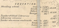 Education Statistics, New York 1854 Old Town Map Custom Print - Chautauque Co.