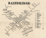 Bainbridge Village, New York 1855 Old Town Map Custom Print - Chenango Co.
