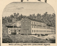 Hayes, Lattin & Co. Piano Factory , New York 1855 Old Town Map Custom Print - Chenango Co.