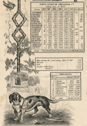 Population & Religion Statistics, New York 1855 Old Town Map Custom Print - Chenango Co.