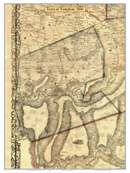 Tompkins, New York 1856 Old Town Map Custom Print - Delaware Co.